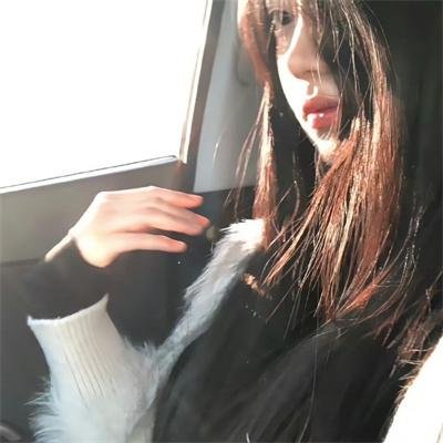 崔弟的高飞冒险