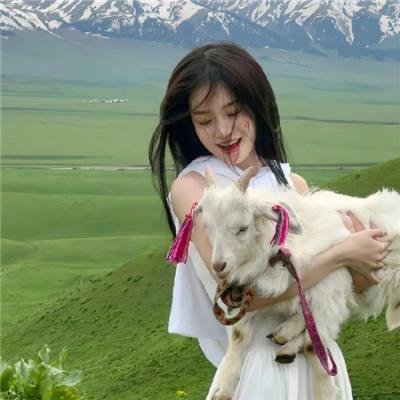 不死鸟之恋